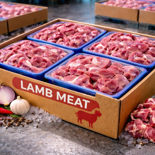 Premium Wholesale Lamb Meat Cuts – Fresh & Frozen Supply
