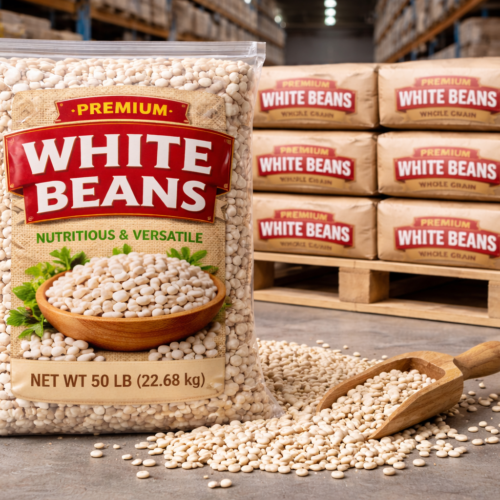 Premium Whole White Beans – Bulk Wholesale Grade